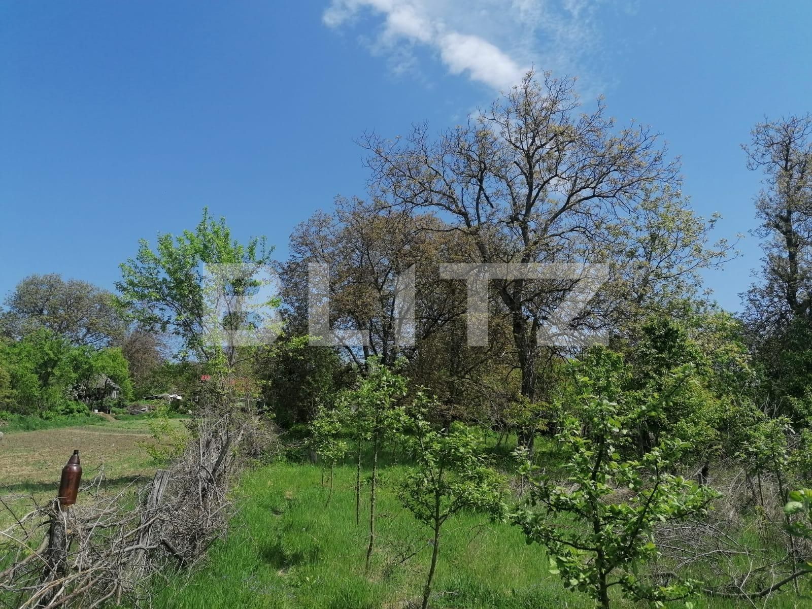 Casa de vânzare 2 camere Exterior Sud - 86285CV | BLITZ Iași | Poza10