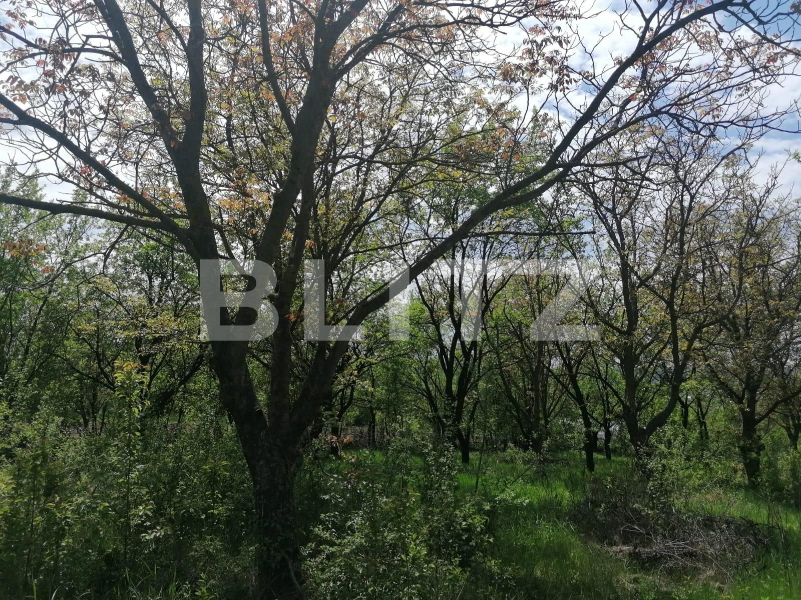 Casa de vânzare 2 camere Exterior Sud - 86285CV | BLITZ Iași | Poza9