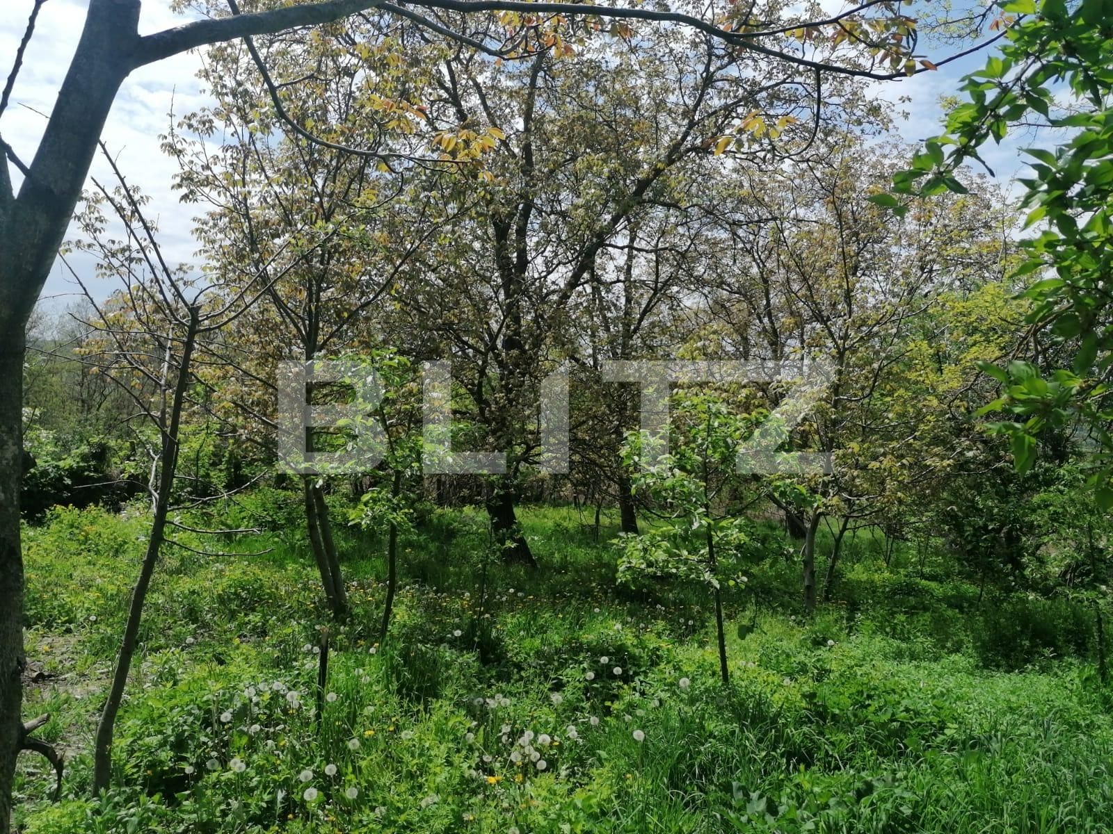 Casa de vânzare 2 camere Exterior Sud - 86285CV | BLITZ Iași | Poza7