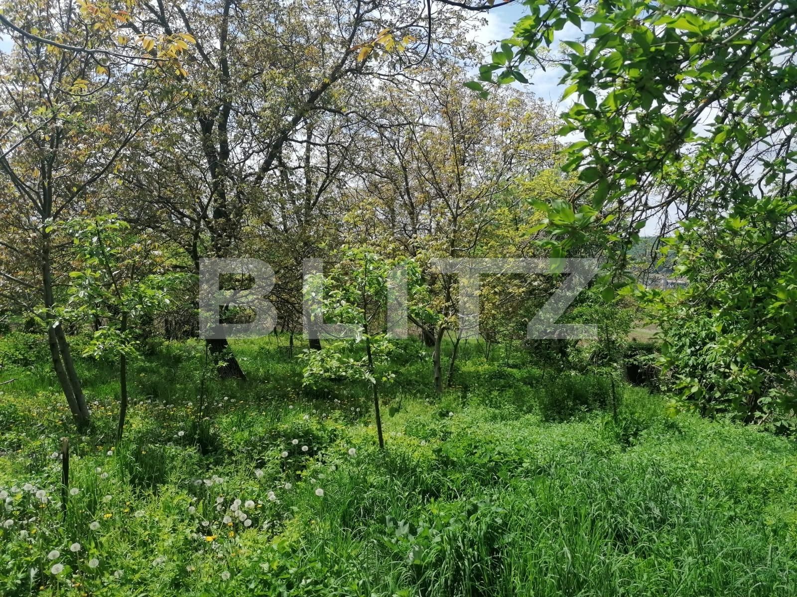 Casa de vânzare 2 camere Exterior Sud - 86285CV | BLITZ Iași | Poza6