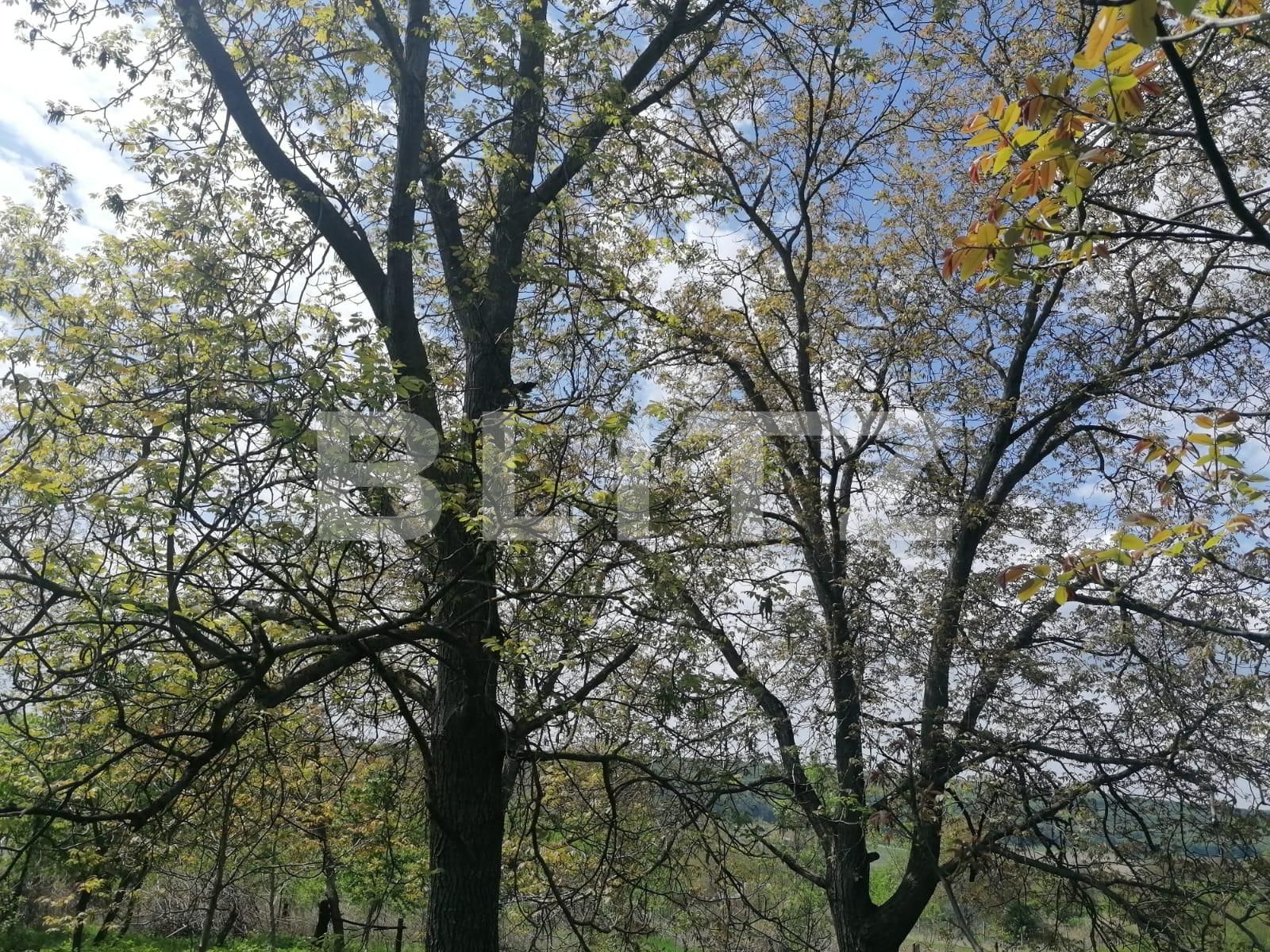 Casa de vânzare 2 camere Exterior Sud - 86285CV | BLITZ Iași | Poza8