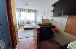 Garsoniera, 20mp, zona Alexandru