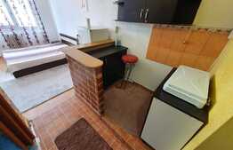 Garsoniera, 20mp, zona Alexandru