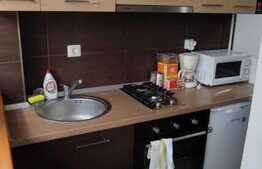 Apartament 2 camere, 32 mp, zona Tatarasi