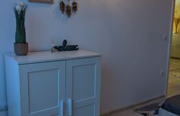 Apartament 2 camere, 40 mp, zona Centrala