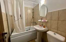 Apartament de 2 camere, 40 mp, pet friendly, zona Canta