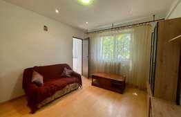 Apartament de 2 camere, 40 mp, pet friendly, zona Canta