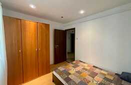 Apartament de 2 camere, 40 mp, pet friendly, zona Canta