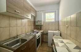 Apartament de 2 camere, 40 mp, pet friendly, zona Canta