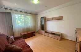 Apartament de 2 camere, 40 mp, pet friendly, zona Canta