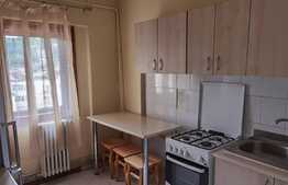 Apartament decomandat de 3 camere, 2 balcoane, Pacurari Petru Poni