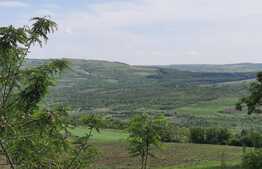 Casa batraneasca, 12.000 mp de teren, livada ciresi, Comarna 