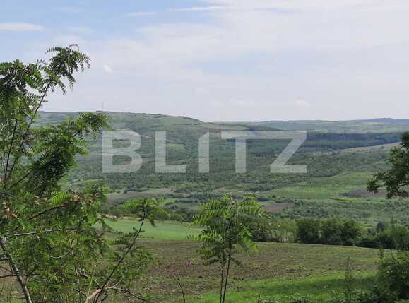 Casa de vânzare 3 camere Exterior Sud - 86672CV | BLITZ Iași | Poza9