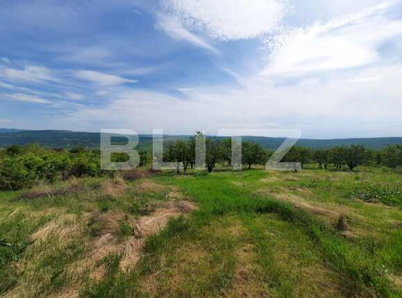 Casa de vânzare 3 camere Exterior Sud - 86672CV | BLITZ Iași | Poza2