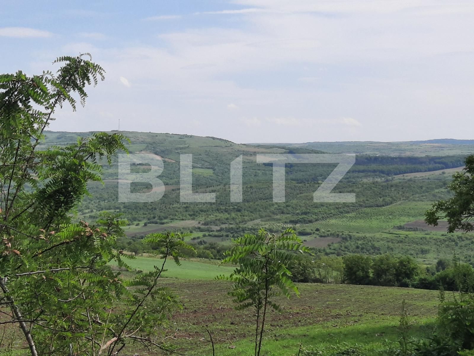 Casa de vânzare 3 camere Exterior Sud - 86672CV | BLITZ Iași | Poza9