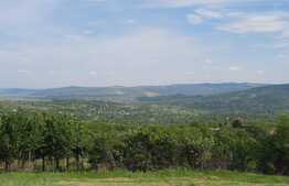 Casa la rosu, 2000 mp de teren, Comarna