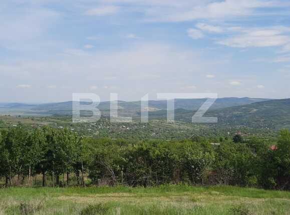 Casa de vânzare 4 camere Exterior Sud - 86674CV | BLITZ Iași | Poza6