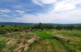 Teren de 12.000 mp cu livada de ciresi, sat Comarna