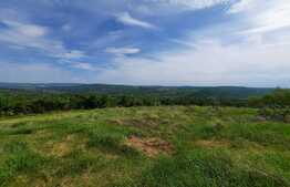 Teren de 12.000 mp cu livada de ciresi, sat Comarna