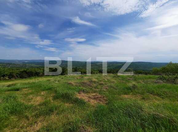 Teren de vânzare Exterior Sud - 86715TV | BLITZ Iași | Poza4