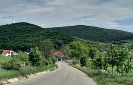 Teren de 12.000 mp cu casa, sat Comarna