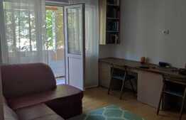 Apartament de 2 camere, 40 mp, semidecomandat, zona Pacurari