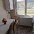 Apartament de închiriat 2 camere Zimbru - 86755AI - Poza 1 din 11 | BLITZ Iași | Poza7