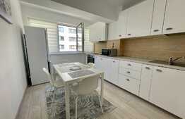 Garsoniera, 40 mp, etaj intermediar, complex Newton