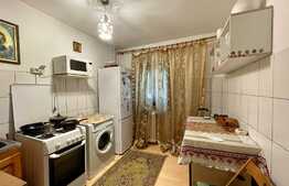 Apartament de 1 camera, petfriendly, 40 mp, zona Podul de Fier