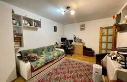 Apartament de 1 camera, petfriendly, 40 mp, zona Podul de Fier