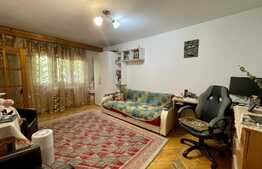 Apartament de 1 camera, petfriendly, 40 mp, zona Podul de Fier