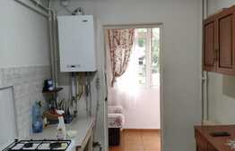 Apartament de 2 camere, petfriendly, 50 mp, zona Canta