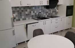 Apartament de 1 camera, parcare, 45 mp, zona Hlincea