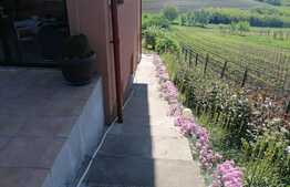 Casa 4 camere, 210 mp utili,1900 mp teren, zona Dorobanti