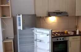 Apartament de 2 camere, 50 mp, etaj intermediar, zona Tatarasi