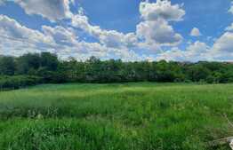 Investitie, teren intravilan de 2000 mp, toate utilitatile, Tudor Neculai