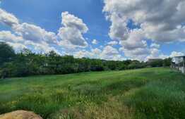 Investitie, teren intravilan de 2000 mp, toate utilitatile, Tudor Neculai