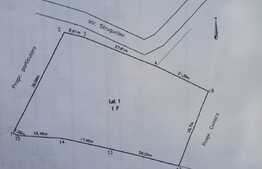 Investitie, teren intravilan de 2000 mp, toate utilitatile, Tudor Neculai