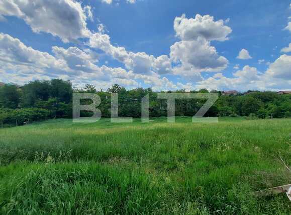 Teren de vânzare Strugurilor - 87150TV | BLITZ Iași | Poza1