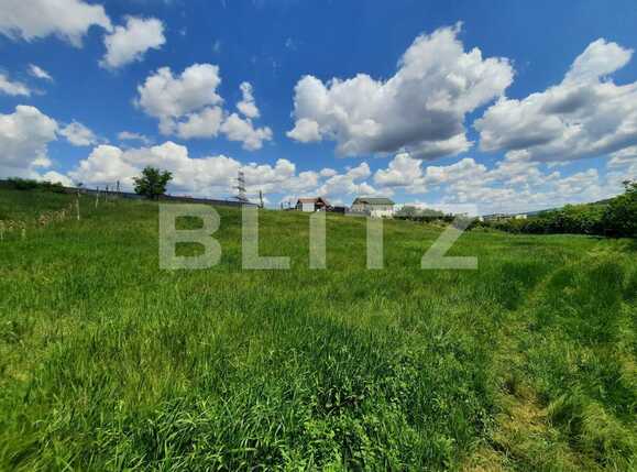 Teren de vânzare Strugurilor - 87150TV | BLITZ Iași | Poza6
