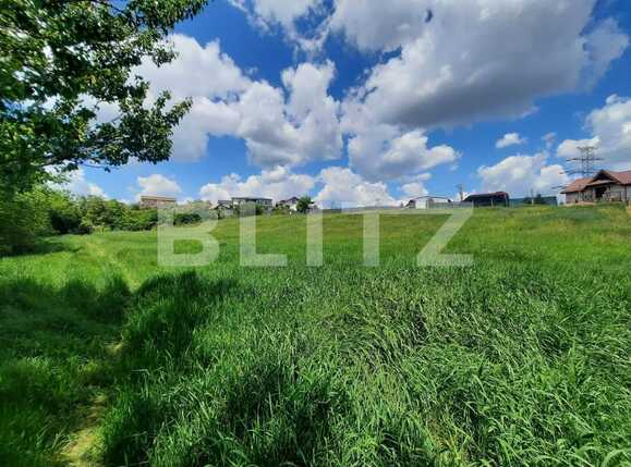 Teren de vânzare Strugurilor - 87150TV | BLITZ Iași | Poza3