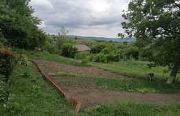 Teren 2170 mp si casa, 44ml la sosea asfaltata, in Ciurbesti