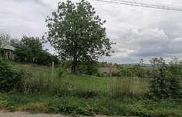 Teren 2170 mp si casa, 44ml la sosea asfaltata, in Ciurbesti