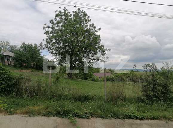 Teren de vânzare Ciurbesti - 87419TV | BLITZ Iași | Poza4