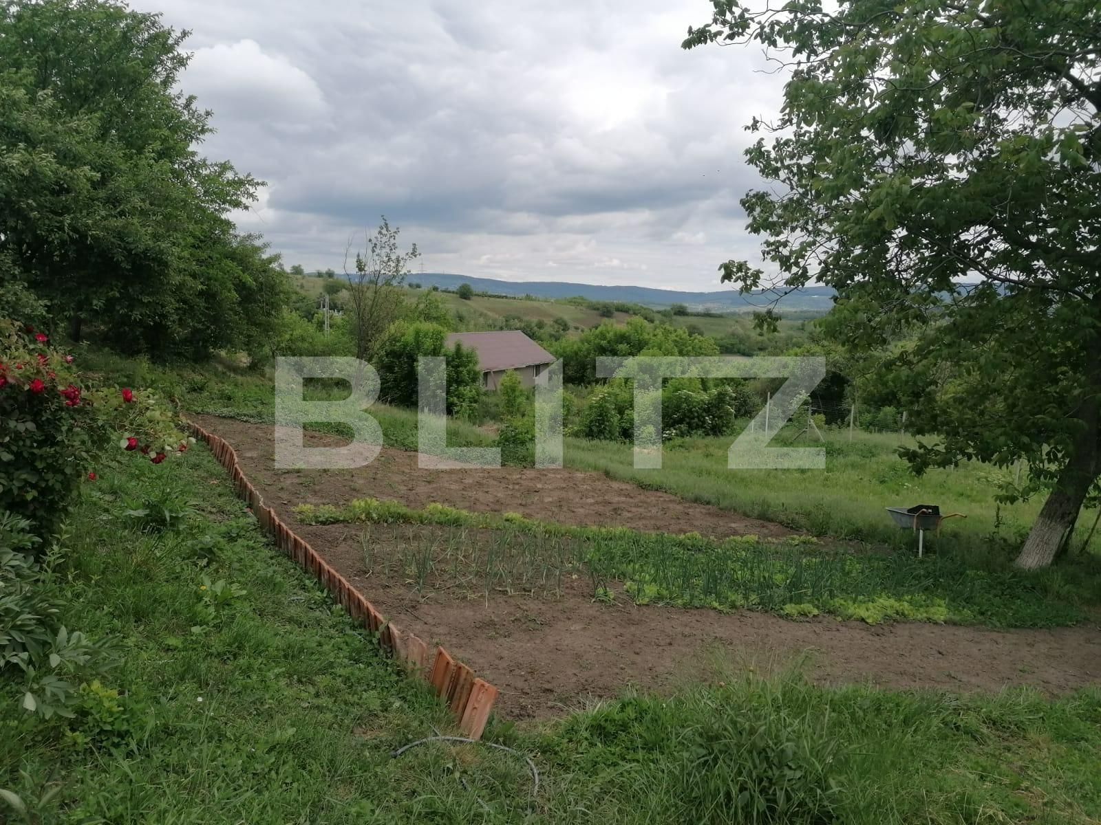 Teren de vânzare Ciurbesti - 87419TV | BLITZ Iași | Poza5