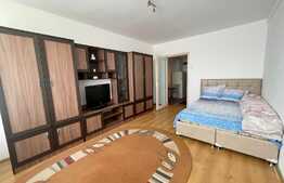 Apartament de 1 camera, 35 mp, decomandat, petfriendly, zona Podu Ros