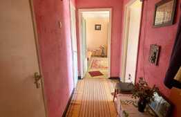 Apartament de 2 camere, 55 mp, decomandat, zona Dacia