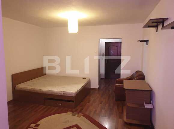 Garsonieră de închiriat Tatarasi - 87770AI | BLITZ Iași | Poza1