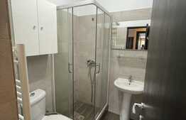 Apartament de 1 camera, 25 mp, decomandat, zona Sfantul Andrei