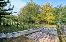 Casa 5 camere, 160 mp, teren 735 mp, in Lunca Cetatuii 